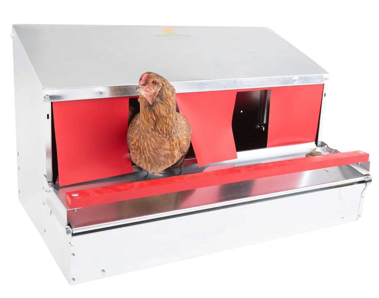 Exclusive Offer for Treasure Idaho Followers – Up to 15% Off HenGear Nest Boxes!
