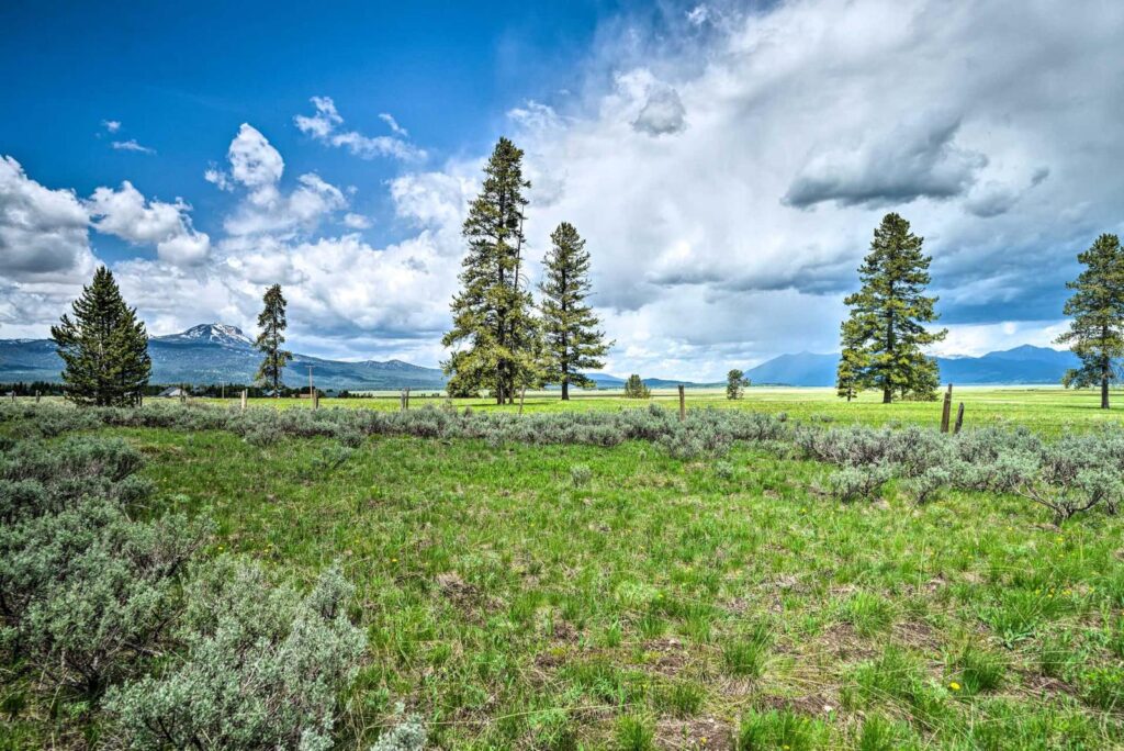 Outdoor Adventure Hub Miles photo in Island Park, Idaho