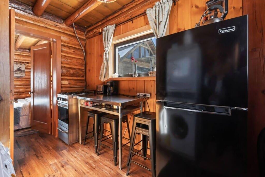 Wall Street Cabin photo in Stanley, Idaho