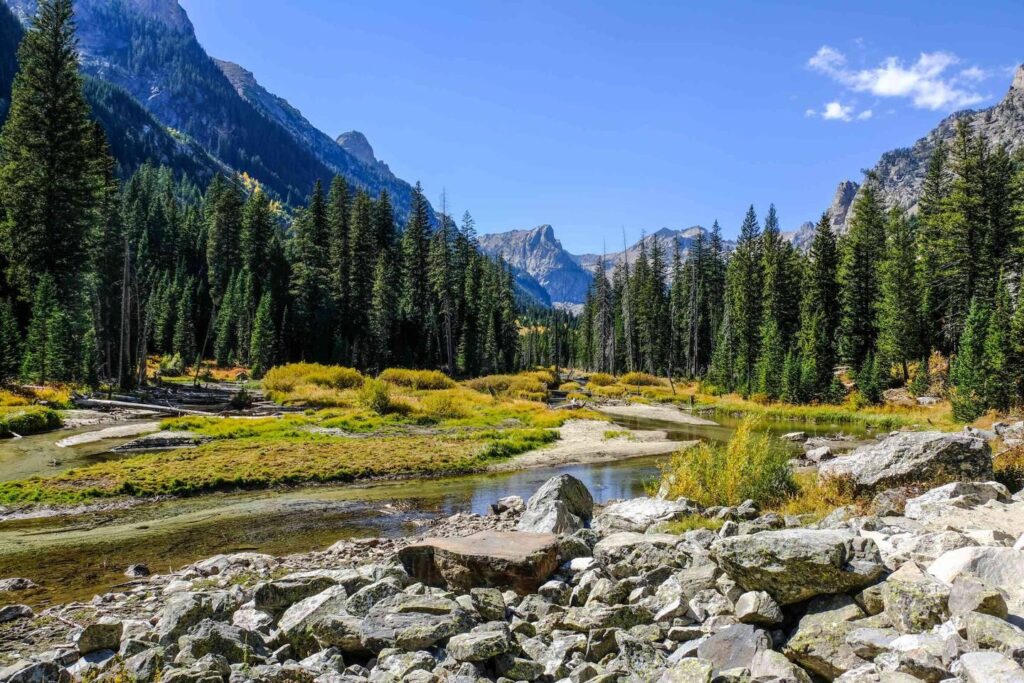 Teton Valley Basecamp photo in Driggs, Idaho