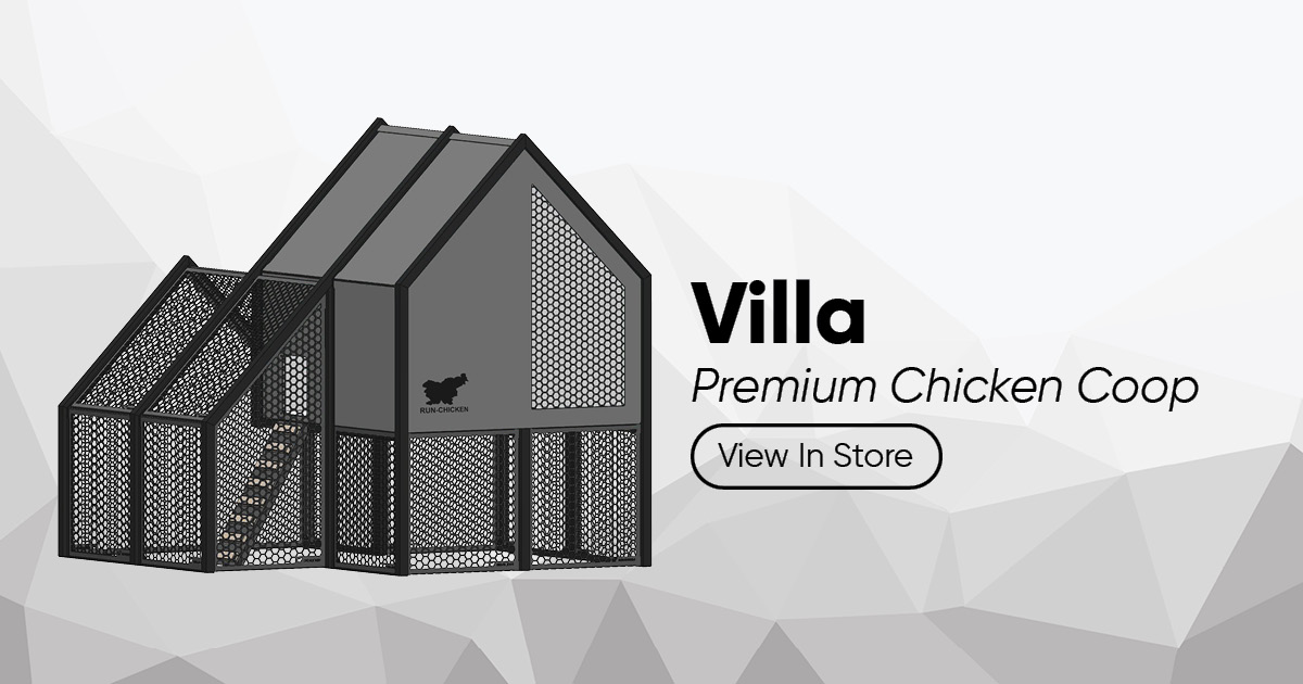 RUN-CHICKEN Villa – Smart Coop – Gray