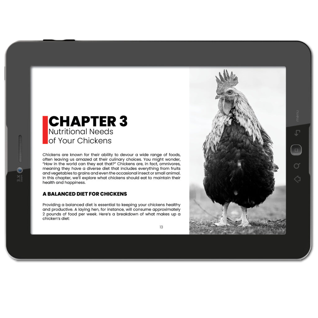 Raising Chickens 101
