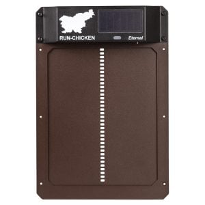 Eternal RUN-CHICKEN Door – Brown